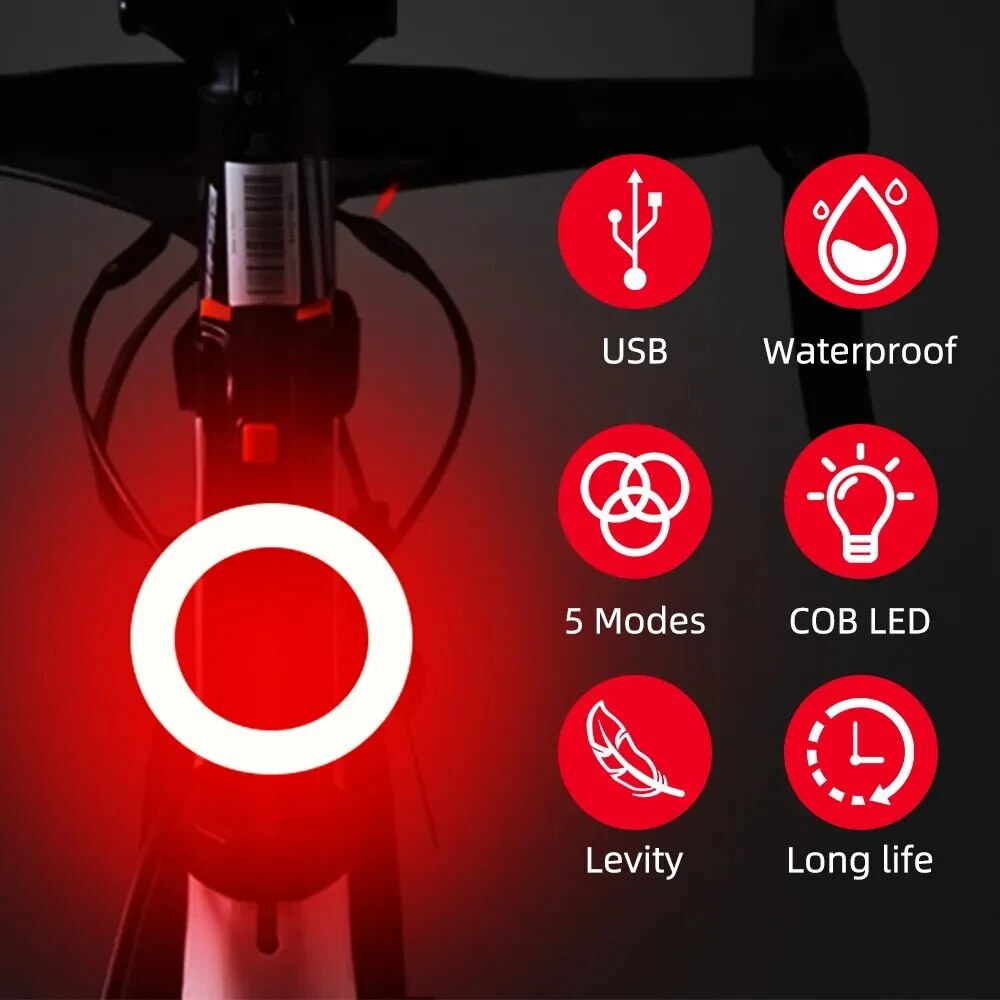 Bicycle Taillight USB Recharge - Cycling Gear Charging Station ulasan dan harga