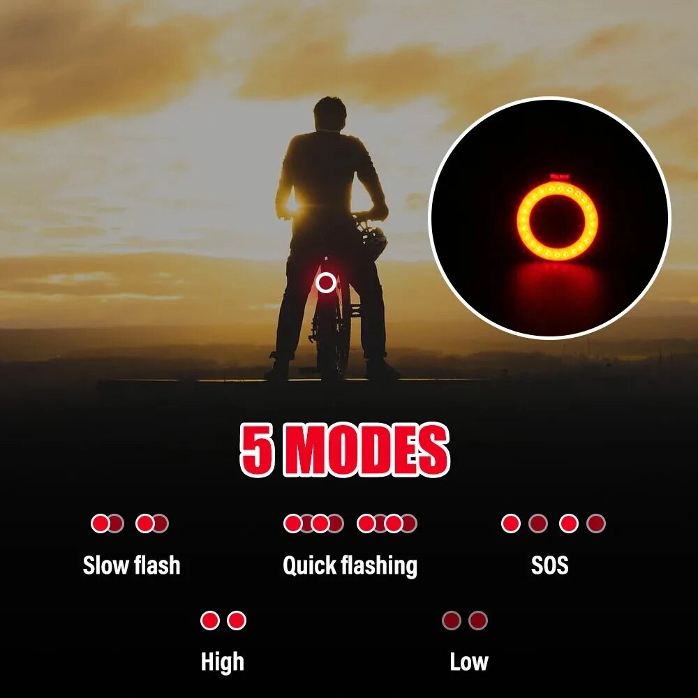 Bicycle Taillight USB Recharge - Cycling Gear Charging Station ulasan dan harga