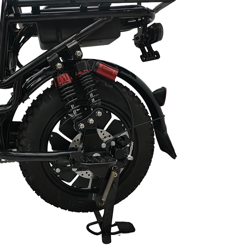 YTYIN Electric Bike Hot Sellin - Cycling Low Gear ulasan dan harga